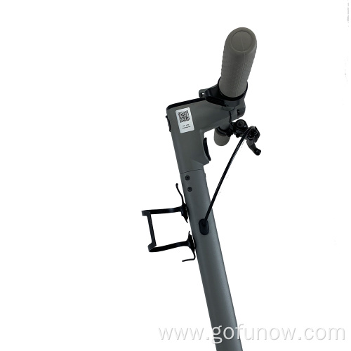 10inch swappable battery USB phone charge electric scooters